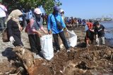 Sejumlah warga memungut sampah di Pesisir Desa Ketah, Suboh, Situbondo, Jawa Timur, Sabtu (20/9/2025). Kegiatan membersihkan pantai yang kotor dalam rangka World Cleanup Day 2025 tersebut dilakukan warga pesisir pantai bersama OPD Situbondo, siswa, dan relawan. ANTARA Jatim/Seno/mas.