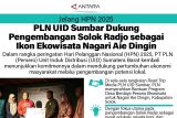 Jelang HPN 2025, PLN UID Sumbar Dukung Pengembangan Solok Radjo sebagai Ikon Ekowisata Nagari Aie Dingin