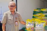 Pulang Pisau masuk16 daerah harga beras naik