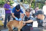 DKP3  Temanggung lakukan vaksinasi rabies gratis 2025