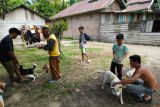 Pemkab Pasaman Barat imbau masyarakat waspada gigitan hewan rabies