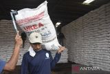 Pekerja mengangkut pupuk saat didistribusikan di gudang Lini III Pupuk Indonesia, Awipari, Kota Tasikmalaya, Jawa Barat, Senin (22/9/2025). Pupuk Indonesia memastikan stok pupuk bersubsidi untuk memenuhi kebutuhan petani pada musim tanam tahun 2025 secara nasional dalam kondisi aman dengan ketersedian stok pupuk jenis Urea, NPK Form biasa, NPK Kakao, ZA, dan Organik mencapai 1.496.877 ton. ANTARA FOTO/Adeng Bustomi/agr