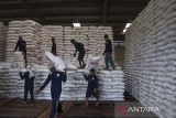 Pekerja mengangkut pupuk di gudang Lini III Pupuk Indonesia, Awipari, Kota Tasikmalaya, Jawa Barat, Senin (22/9/2025). Pupuk Indonesia memastikan stok pupuk bersubsidi untuk memenuhi kebutuhan petani pada musim tanam tahun 2025 secara nasional dalam kondisi aman dengan ketersedian stok pupuk jenis Urea, NPK Form biasa, NPK Kakao, ZA, dan Organik mencapai 1.496.877 ton. ANTARA FOTO/Adeng Bustomi/agr