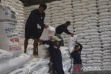 Pekerja mengangkut pupuk saat didistribusikan di gudang Lini III Pupuk Indonesia, Awipari, Kota Tasikmalaya, Jawa Barat, Senin (22/9/2025). Pupuk Indonesia memastikan stok pupuk bersubsidi untuk memenuhi kebutuhan petani pada musim tanam tahun 2025 secara nasional dalam kondisi aman dengan ketersedian stok pupuk jenis Urea, NPK Form biasa, NPK Kakao, ZA, dan Organik mencapai 1.496.877 ton. ANTARA FOTO/Adeng Bustomi/agr