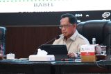 Mendagri Toto menegaskan peran krusial pemda dalam operasional PSEL