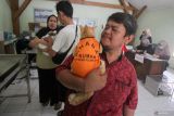 Petugas menggendong kucing untuk disuntik vaksin rabies di Puskeswan, Sidoarjo, Jawa Timur, Rabu (24/9/2025). Vaksinasi rabies gratis tersebut digelar dalam rangka memperingati Hari Rabies Sedunia untuk melindungi masyarakat sekaligus memberikan kekebalan pada hewan penular rabies (HPR) dengan kuota 200 ekor. Antara Jatim/Umarul Faruq