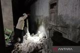 Gempa di Banyuwangi-Situbondo merusak 50 rumah dan dua tempat ibadah