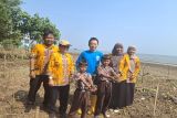 Dinas Kehutanan Wilayah IV Pekalongan-PLTU giatkan tanam mangrove