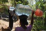 Warga membawa galon berisi air bersih saat mengambil air di sumber mata air di Desa Gunung Putri, Suboh, Situbondo, Jawa Timur, Kamis (25/9/2025). Sebagian warga tetap mengambil air di sumber mata air meski BPBD Situbondo sudah mendistribusikan air bersih ke wilayah terdampak kekeringan dan kekurangan air di empat kecamatan ANTARA Jatim/Seno/mas.