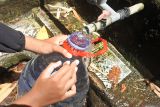 Seorang warga mengambil air di sumber mata air di Desa Gunung Putri, Suboh, Situbondo, Jawa Timur, Kamis (25/9/2025). Sebagian warga tetap mengambil air di sumber mata air meski BPBD Situbondo sudah mendistribusikan air bersih ke wilayah terdampak kekeringan dan kekurangan air di empat kecamatan ANTARA Jatim/Seno/mas.