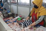 Harga daging ayam  ras di Purwokerto berangsur turun