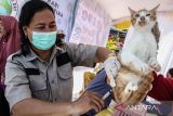Peringatan Hari Rabies Sedunia 2025 di Palangka Raya