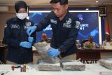 Petugas Labfor Polda Jawa Timur menguji narkoba jenis ganja sebelum dimusnahkan di Badan Narkotika Nasional Provinsi (BNNP) Jawa Timur, Surabaya, Jawa Timur, Selasa (30/9/2025). BNNP Jawa Timur memusnahkan narkotika jenis ganja seberat 5,5 kilogram yang diamankan dari tersangka berinisial SF (33) di Desa Petungsewu, Kecamatan Dau, Kabupaten Malang pada Kamis (5/6). ANTARA Jatim/Didik Suhartono/mas.