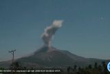 Gunung Lewotobi Laki-laki melontarkan abu setinggi 1.500 meter