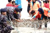 Personel TNI bersama mahasiswa dan siswa SD memasang bibit terumbu karang hasil transplantasi pada rangka besi di tepi Pantai Mutiara, Trenggalek, Jawa Timur, Kamis (2/10/2025). Kegiatan penanaman terumbu karang itu digelar dalam rangka Bakti Teritorial Prima memperingati HUT ke-80 TNI sekaligus edukasi masyarakat akan pentingnya konservasi lingkungan di kawasan pesisir Pantai Selatan Trenggalek. ANTARA Jatim/Destyan Sujarwoko/mas.