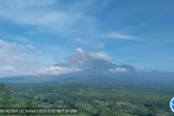 Gunung Semeru kembali erupsi setinggi 600 m