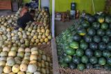 Pekerja menata buah melon di Pasar Induk Rau, Kota Serang, Banten, Jumat (3/10/2025). Badan Pusat Statistik (BPS) Provinsi Banten mencatat pada September 2025 secara tahunan, Banten mengalami inflasi sebesar 2,31 persen dengan Indeks Harga Konsumen (IHK) sebesar 107,90 yang disebabkan adanya kenaikan harga pada sembilan kelompok pengeluaran, di antaranya kelompok makanan, minuman dan tembakau sebesar 4,46 persen serta pakaian dan alas kaki sebesar 1,35 persen. ANTARA FOTO/Angga Budhiyanto/gp