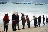 Buruh nelayan menarik jaring tarik di Pantai Sine, Tulungagung, Jawa Timur, Senin (6/10/2025). BPS merilis nilai tukar nelayan (NTN) secara nasional mengalami peningkatan sebesar 0,14 persen, karena It mengalami kenaikan sebesar 0,17 persen, lebih tinggi dari kenaikan Ib yang sebesar 0,03 persen. Antara Jatim/Destyan Sujarwoko/um