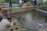 Kabupaten Banyuasin manfaatkan potensi perikanan budi daya