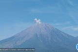 Gunung Semeru 6 kali erupsi disertai abu vulkanik