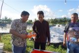 Itera ciptakan teknologi tambak udang berbasis IoT