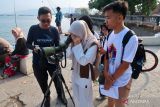 NTB jadi daerah penting bagi migrasi burung dunia