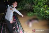 Mayat tanpa identitas di Sungai Kapuas ternyata buruh asal Sumsel