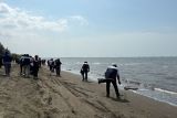 Tukimin bersama PLN Peduli bersihkan Pantai Tirang