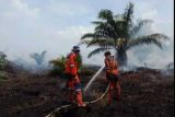 BPBD Sumsel kerahkan personel dan helikopter water bombing padamkan karhutla di OKI