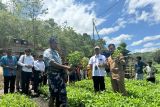 Program Electrifying Agriculture tumbuh 2,6 persen di Sumba