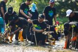 Gubernur Jateng memimpin penanaman serentak jutaan mangrove