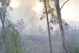 Tim gabungan TNGR padamkan titik api baru di kawasan Gunung Rinjani