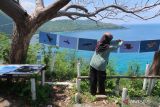 Menyambut penerbang dari Bukit Nipah