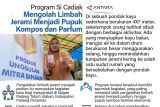 Program Si Cadiak mengolah limbah jerami menjadi pupuk kompos dan parfum