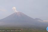 Gunung Semeru erupsi sebanyak enam kali