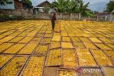 Pekerja menjemur kerupuk mie yang telah selesai di produksi di rumah produksi kerupuk mie di Cimaung, Kabupaten Bandung, Jawa Barat, Selasa (21/10/2025). Jamkrindo hingga Agustus 2025 mencatatkan penjaminan terhadap 189.193 pelaku UMKM di Jawa Barat dengan total volume penjaminan yang diberikan mencapai Rp12,28 triliun. ANTARA FOTO/Raisan Al Farisi/agr