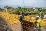Pekerja menjemur kerupuk mie yang telah selesai di produksi di rumah produksi kerupuk mie di Cimaung, Kabupaten Bandung, Jawa Barat, Selasa (21/10/2025). Jamkrindo hingga Agustus 2025 mencatatkan penjaminan terhadap 189.193 pelaku UMKM di Jawa Barat dengan total volume penjaminan yang diberikan mencapai Rp12,28 triliun. ANTARA FOTO/Raisan Al Farisi/agr
