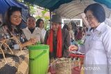 Pemkab Gunung Mas promosikan pertanian melalui festival