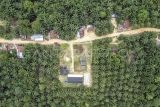 Foto udara kawasan Trans Sosial Suku Batin Sembilan di Muaro Singoan, Batang Hari, Jambi, Rabu (22/10/2025). Kawasan Trans Sosial yang dibangun pemerintah pada tahun 1999 untuk menyediakan ruang hidup bagi warga Suku Batin Sembilan di tengah-tengah hutan lebat Sumatera tersebut kini berubah menjadi kawasan perkebunan kelapa sawit milik perorangan dan beberapa perusahaan. ANTARA FOTO/Wahdi Septiawan/rwa.