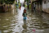 Seorang anak melintasi banjir yang melanda Kampung Bojongasih di Dayeuhkolot, Kabupaten Bandung, Jawa Barat, Jumat (24/10/2025). Banjir setinggi 30 hingga 100 sentimeter yang merendam ratusan rumah di daerah tersebut terjadi karena meluapnya Sungai Citarum akibat hujan lebat yang melanda Kawasan Bandung Raya pada Kamis 23 Oktober 2025. ANTARA FOTO/Raisan Al Farisi/agr