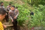 Polisi selidiki kasus penemuan bayi terpotong tiga bagian di Bukittinggi