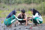 Sejumlah siswa bersama gurunya  menanam  bibit manggrove (Rhizophora mucronata) di kawasan pesisir desa Lampulo, Banda Aceh, Aceh, Sabtu (25/10/2025). Gerakan menanam seribu  bibit manggrove dengan semangat, 
