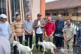 Kemensos berikan bantuan kambing saanen ke peternak Magelang
