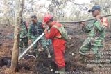 Kebakaran lahan seluas 7,32 hektare di Muara Enim padam