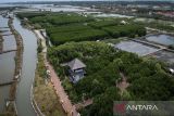 Foto udara tambak yang dibangun di sebelah kawasan konservasi mangrove di Mauk, Kabupaten Tangerang, Banten, Senin (27/10/2025). Menteri Lingkungan Hidup Hanif Faisol Nurofiq menyatakan pemerintah akan merehabilitasi sekitar 750 ribu hektare lahan mangrove yang kini telah beralih fungsi sebagai upaya menyelamatkan ekosistem pesisir Indonesia. ANTARA FOTO/Putra M. Akbar/gp