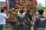 DLHK NTB gagalkan pengiriman 50 meter kubik kayu ilegal dari Sumbawa