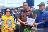 Pacu semangat masyarakat, Pemkab Gumas salurkan bibit hortikultura