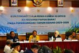 PLN dan DPR RI perkuat kolaborasi pemerataan energi di Papua Barat