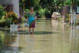 Warga melintasi genangan banjir di Kecamatan Jatiroto, Lumajang, Jawa Timur, Jumat (31/10/2025). Sedikitnya 1.225 rumah warga terdampak banjir setinggi sekitar satu meter akibat luapan Sungai Jatiroto setelah hujan deras mengguyur wilayah tersebut pada Kamis (30/10). ANTARA Jatim/Irfan Sumanjaya/mas.