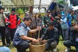Gubernur Jateng minta Festival Mangga Pemalang bisa kegiatan tahunan